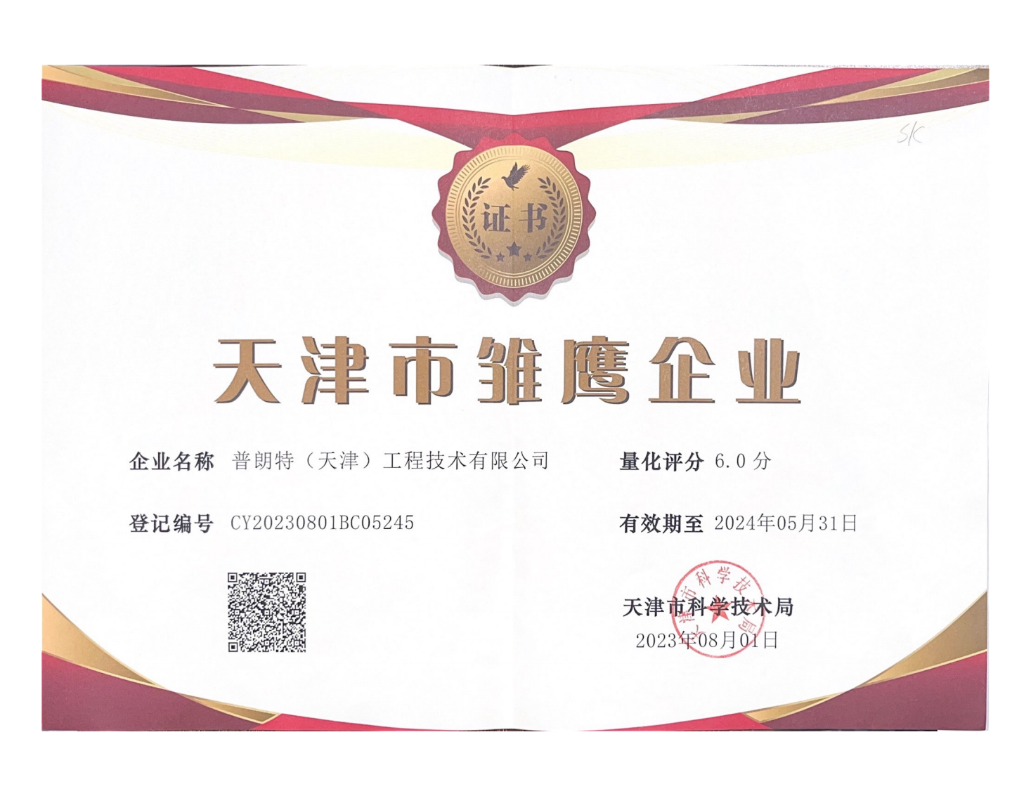 雛鷹企業(yè)